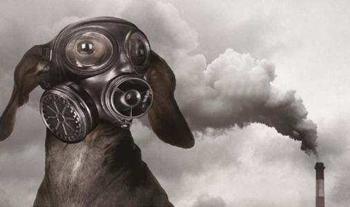 voc在線監(jiān)測設(shè)備市場調(diào)研報(bào)告